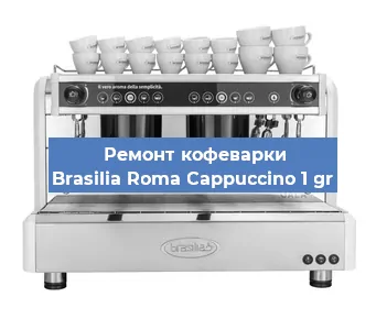 Чистка кофемашины Brasilia Roma Cappuccino 1 gr от кофейных масел в Екатеринбурге